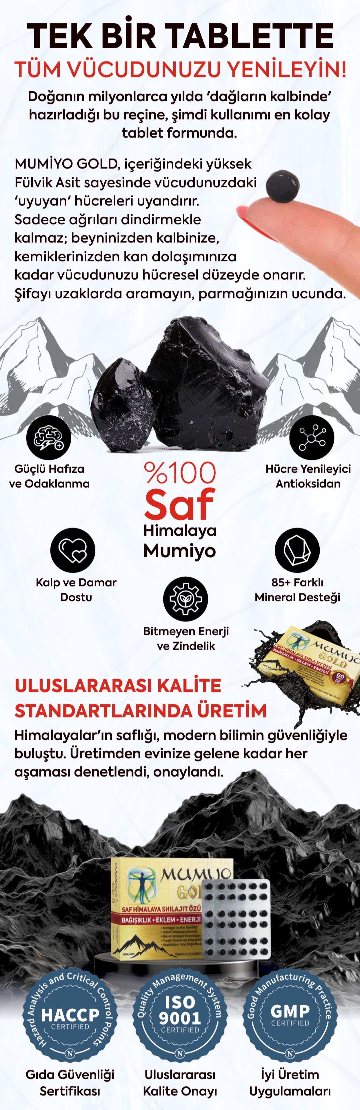 Promotional Imasge 1